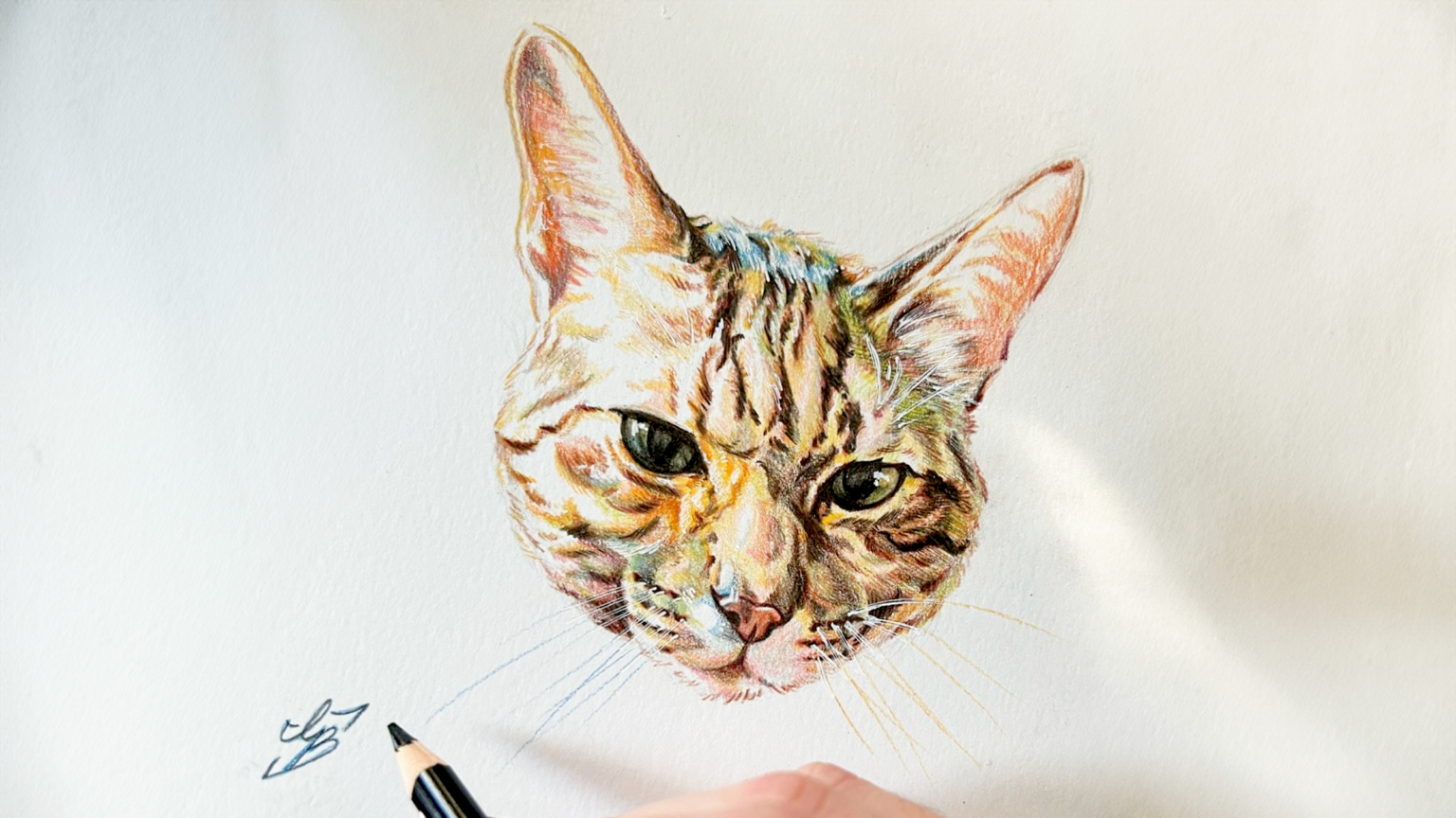 Drawing With Color Pencils New Bedford Art Museum