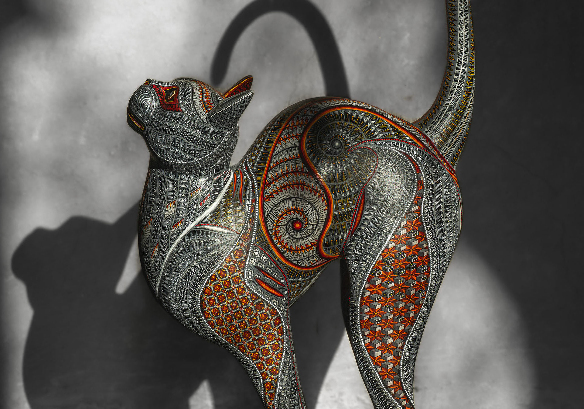 12.02.26 GATO GRIS-1