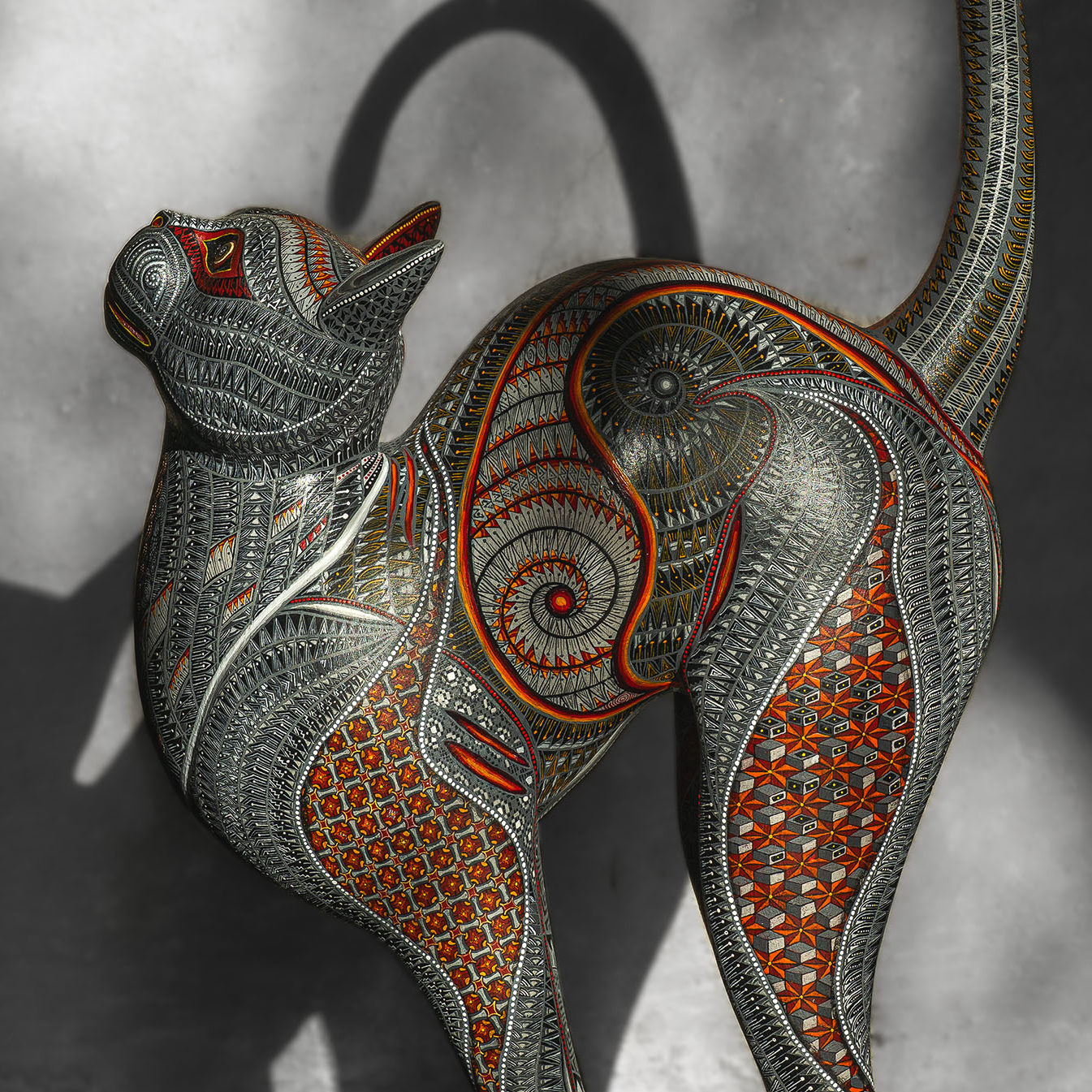 12.02.26 GATO GRIS-1