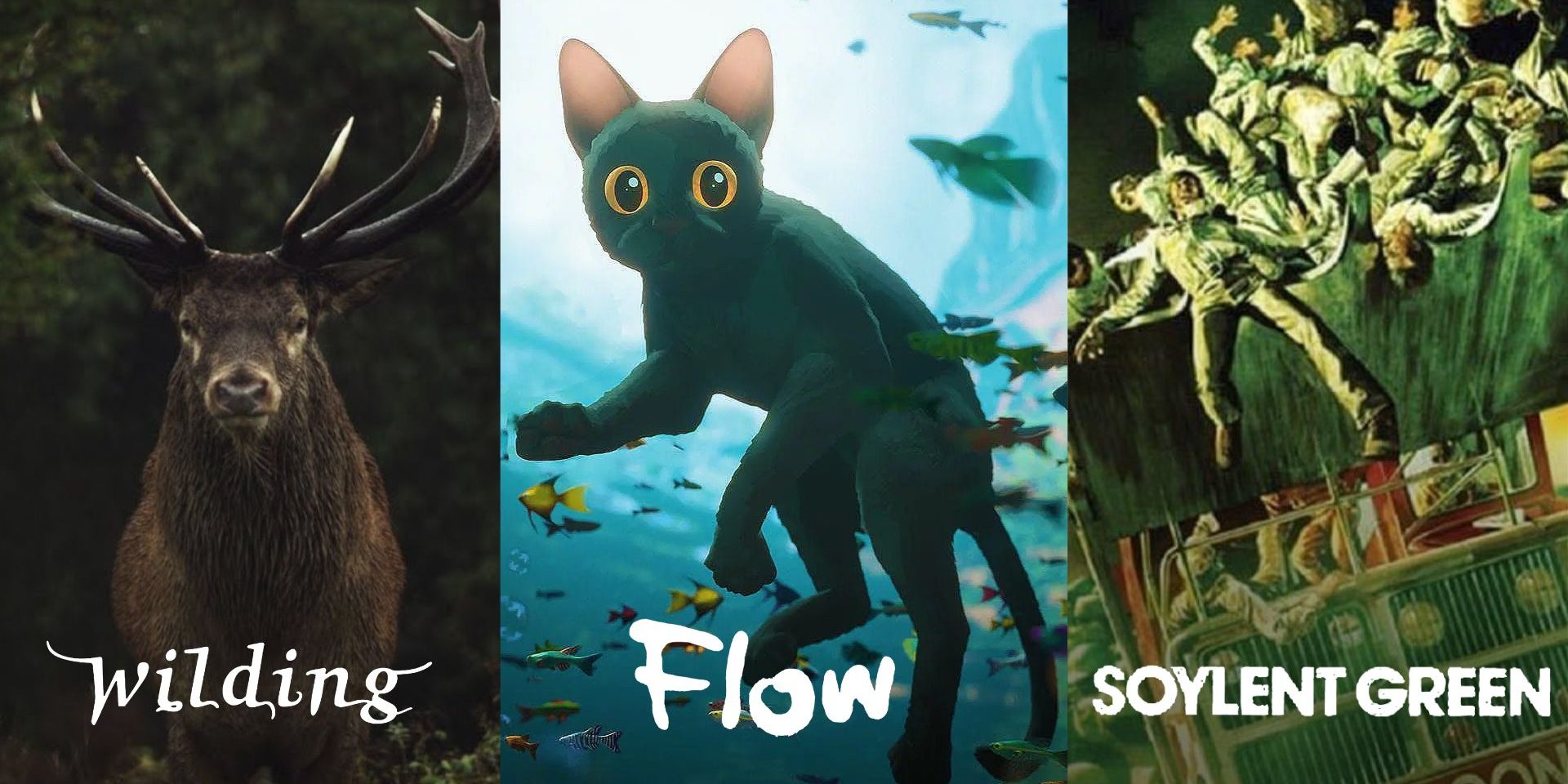 Anthro Movies