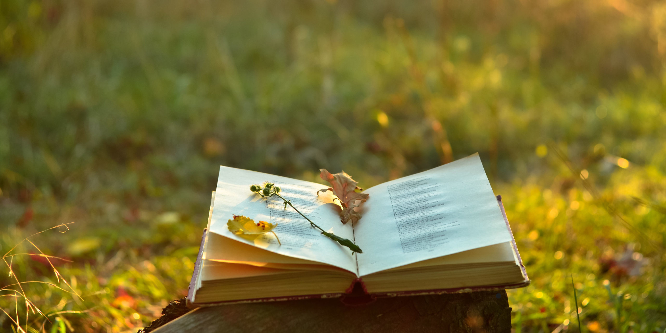 Aug. Poetry