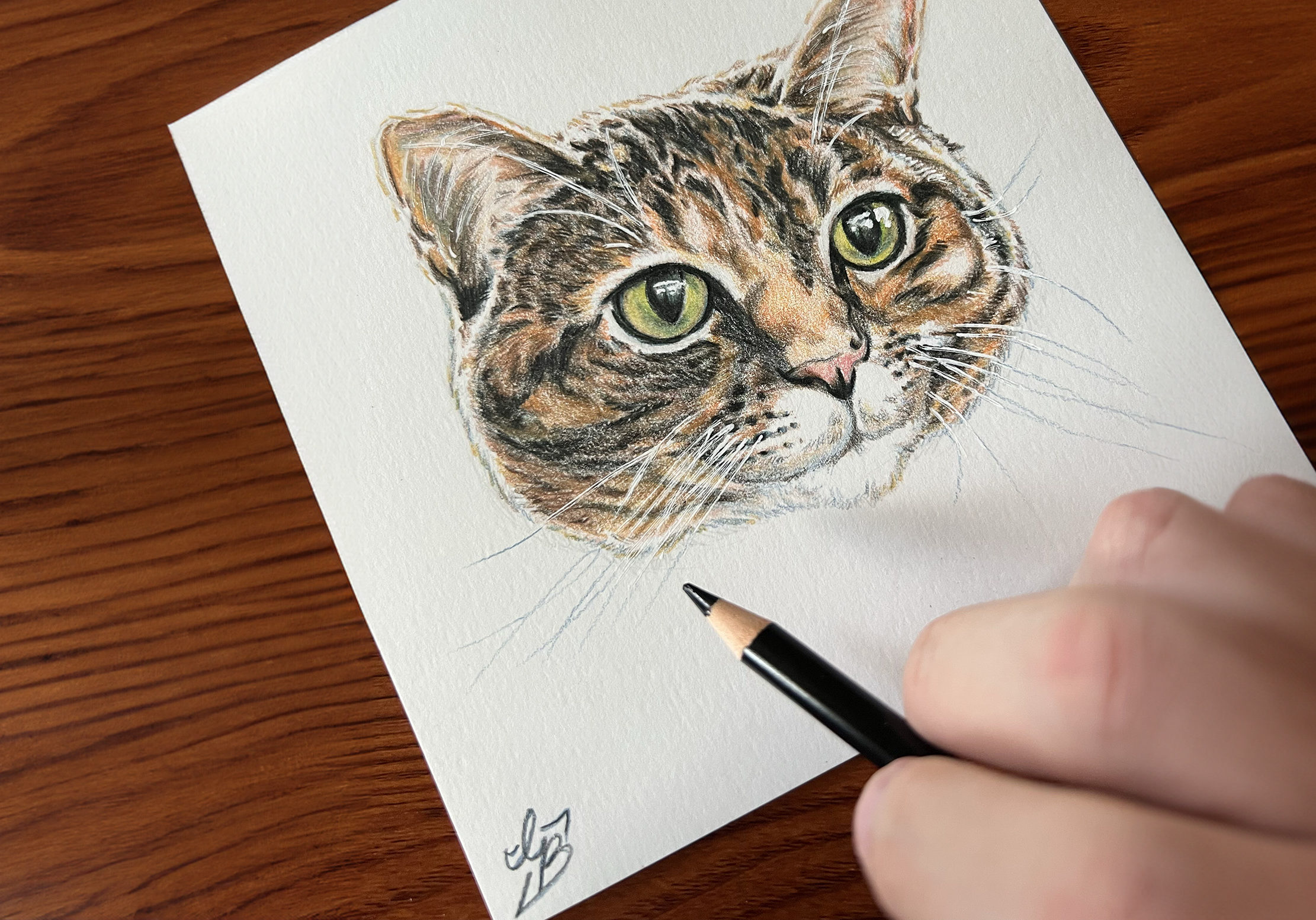 Colored pencil 2025 Crop