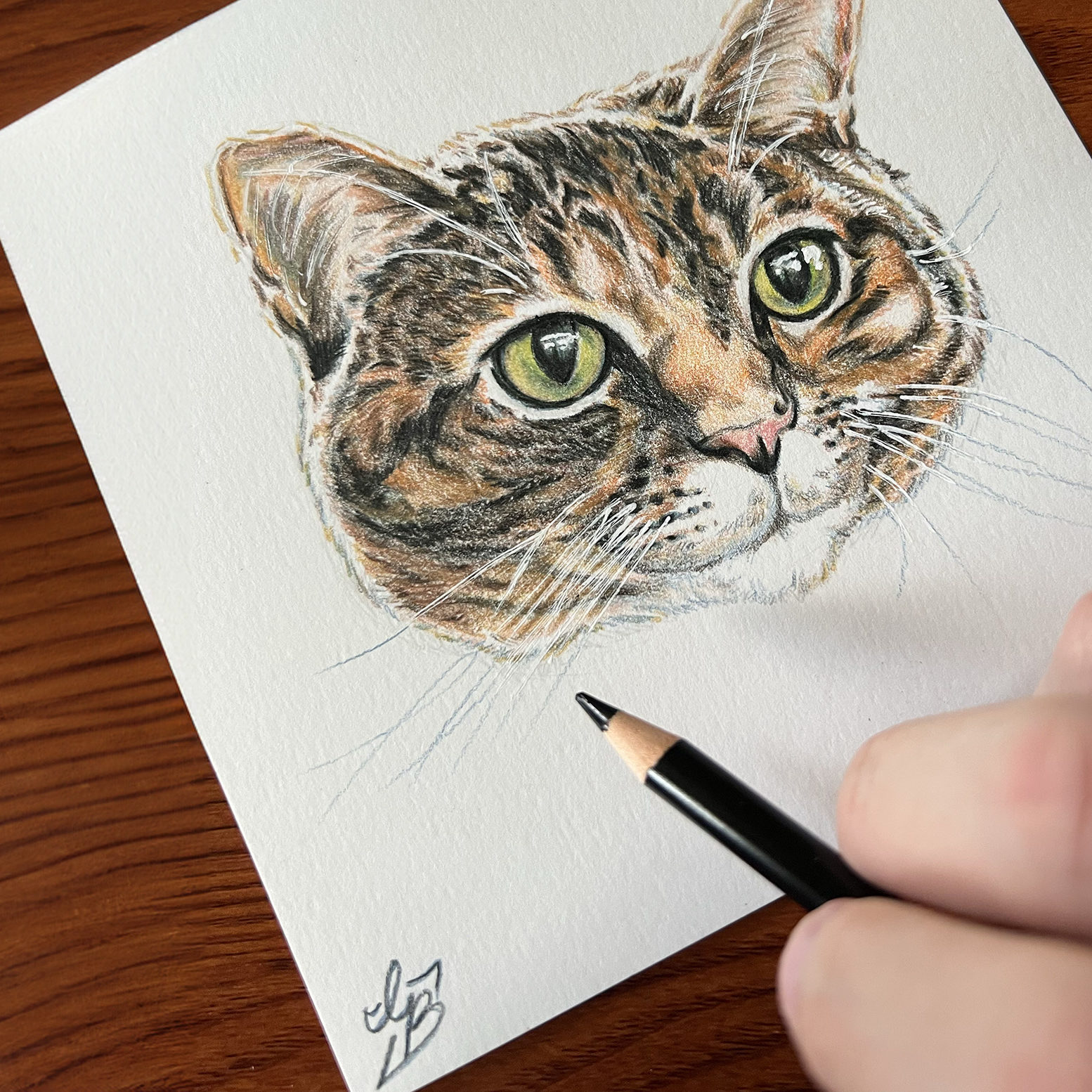 Colored pencil 2025 Crop