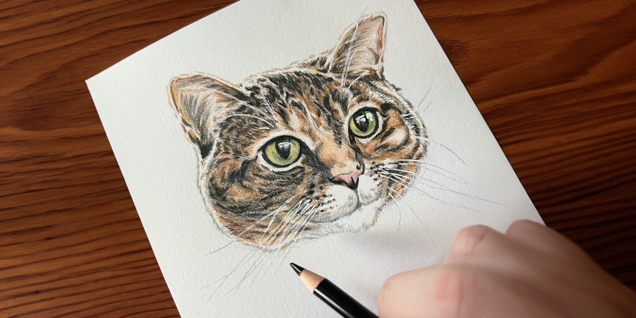 Colored pencil 2025 sm Colored pencil 2025 sm