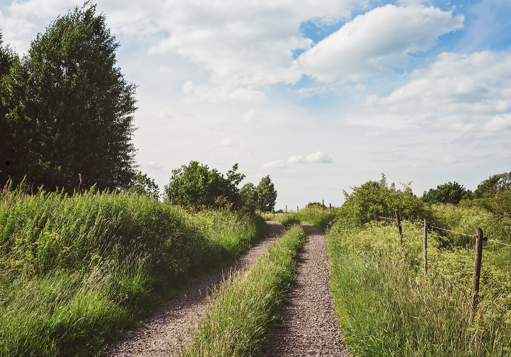 July Poetry