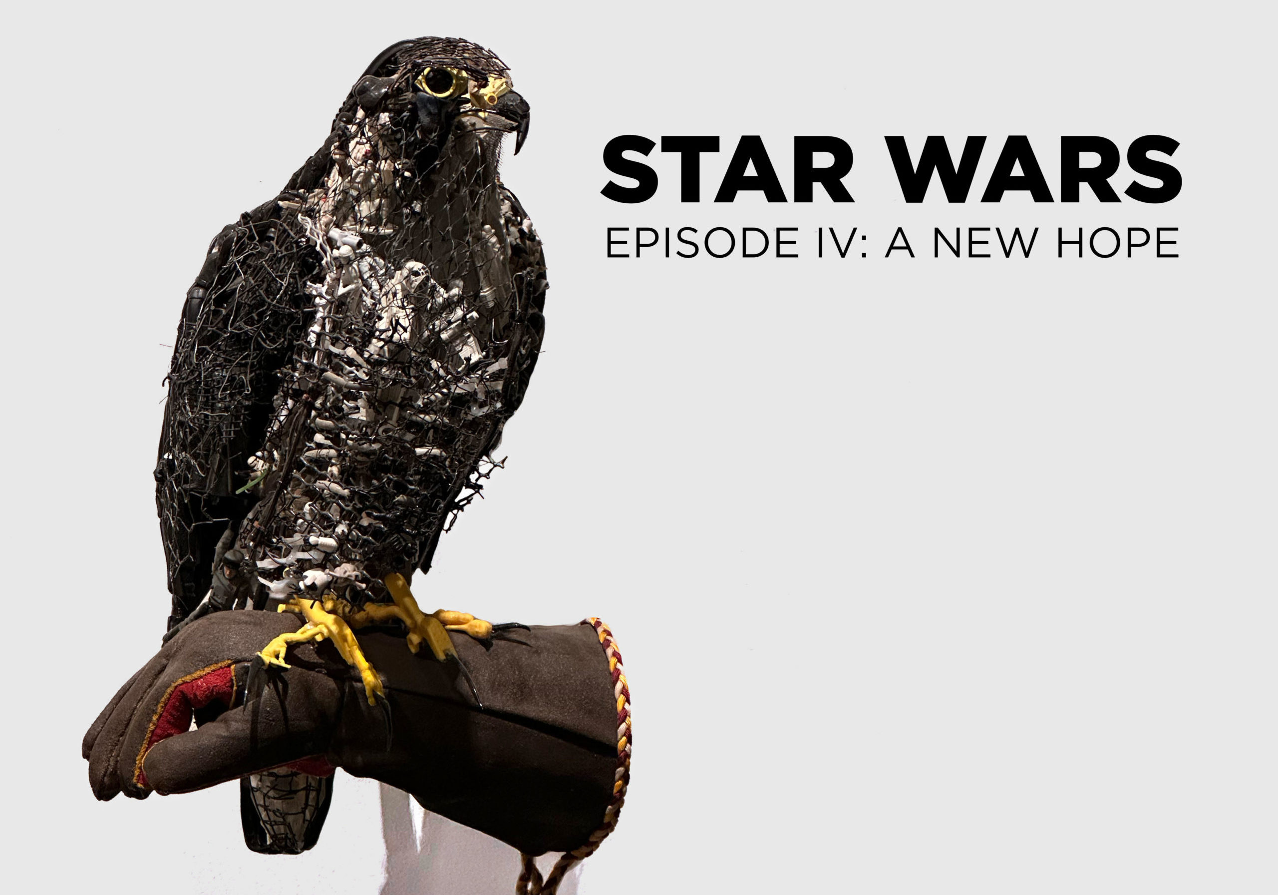 Star wars Web
