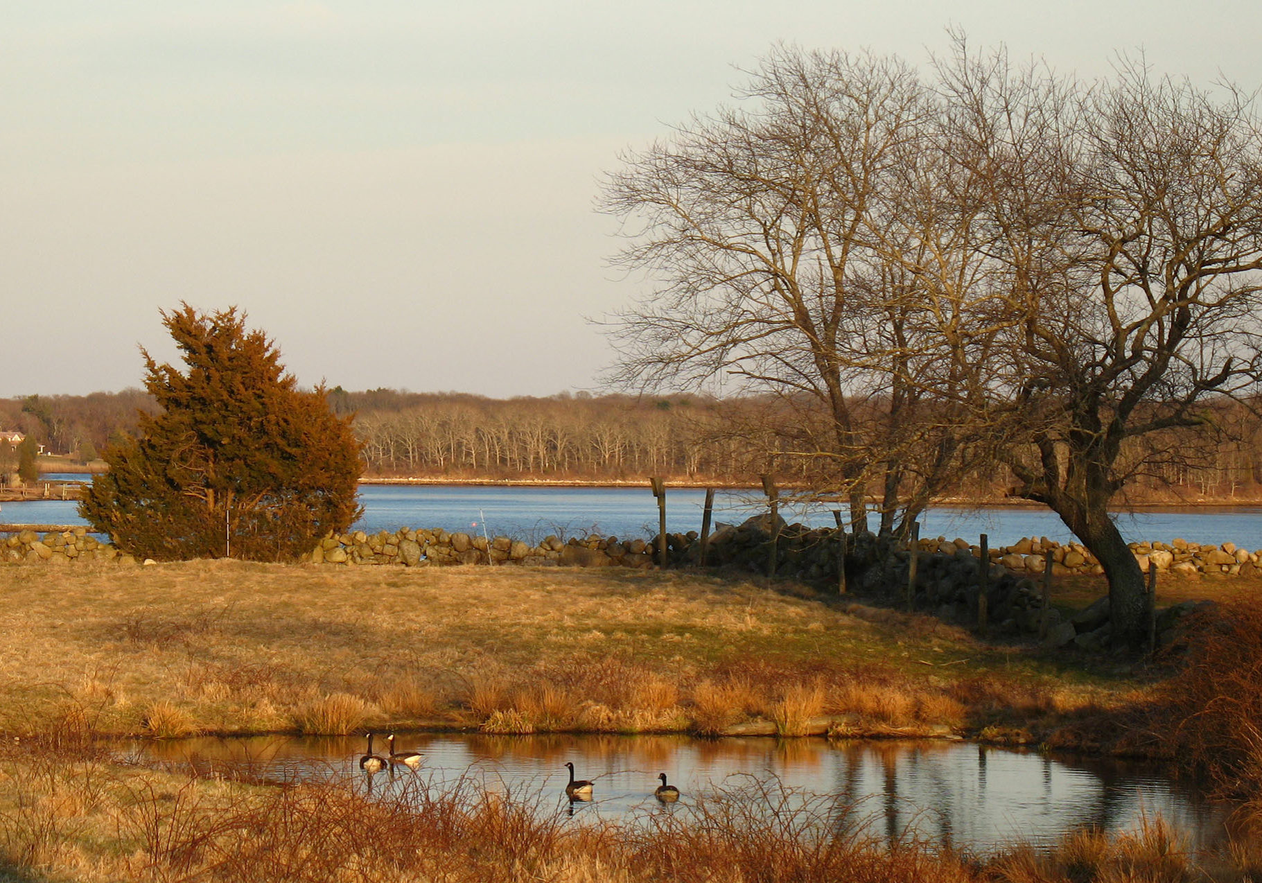 nature walk