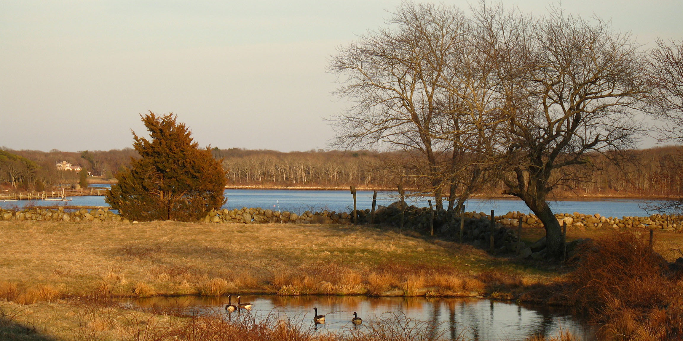 nature walk