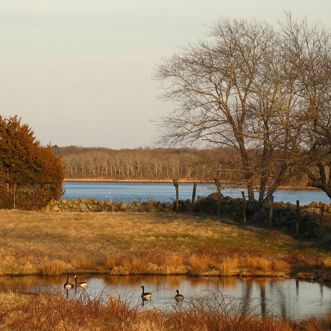 nature walk